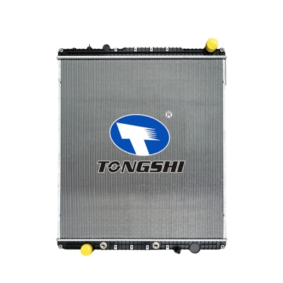 适用于FREIGHTLINER CASSADIA 125 L6 12.8L 09-12 AT重卡散热器