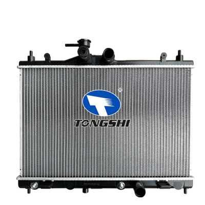 适用于BIUEBIRD/STANZA/AXXESS'07-09 AT散热器