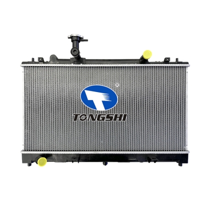 适用于M 6 (GG/GY) 2.0 DI 02- MT散热器